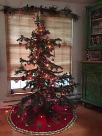 Colorado Native Christmas Trees