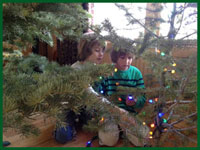 Kids and tree